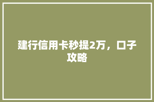 建行信用卡秒提2万，口子攻略