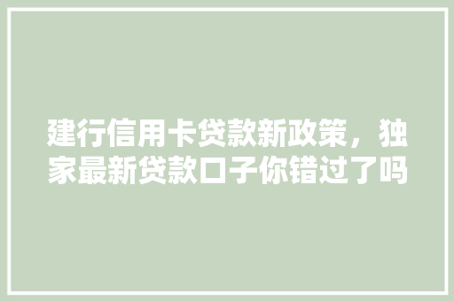 建行信用卡贷款新政策，独家最新贷款口子你错过了吗
