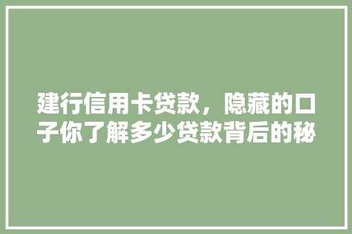 建行信用卡贷款，隐藏的口子你了解多少贷款背后的秘密