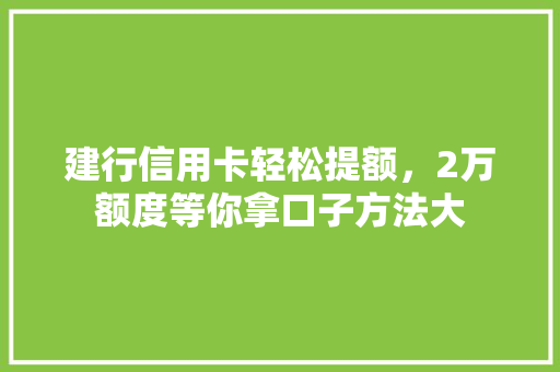 建行信用卡轻松提额，2万额度等你拿口子方法大