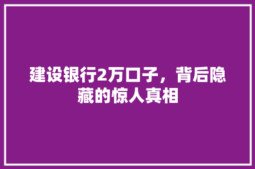 建设银行2万口子，背后隐藏的惊人真相