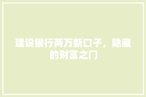 建设银行两万新口子，隐藏的财富之门