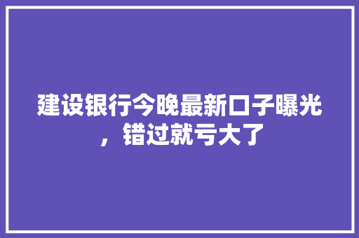 建设银行今晚最新口子曝光，错过就亏大了
