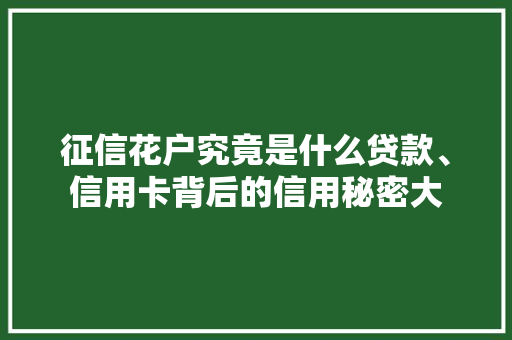 征信花户究竟是什么贷款、信用卡背后的信用秘密大