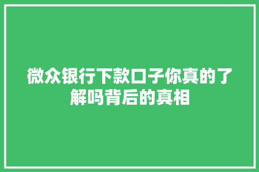 微众银行下款口子你真的了解吗背后的真相