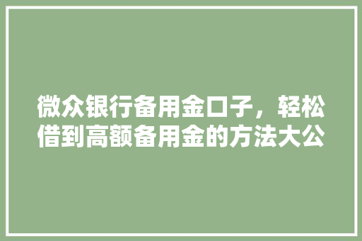 微众银行备用金口子，轻松借到高额备用金的方法大公开