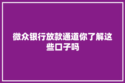 微众银行放款通道你了解这些口子吗  第1张