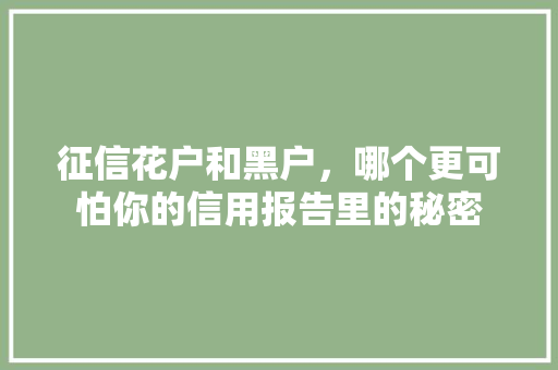 征信花户和黑户，哪个更可怕你的信用报告里的秘密