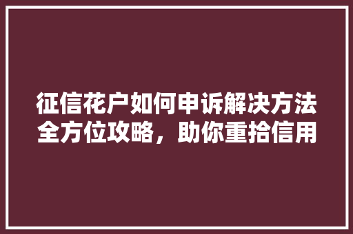 征信花户如何申诉解决方法全方位攻略，助你重拾信用