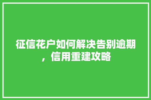 征信花户如何解决告别逾期，信用重建攻略