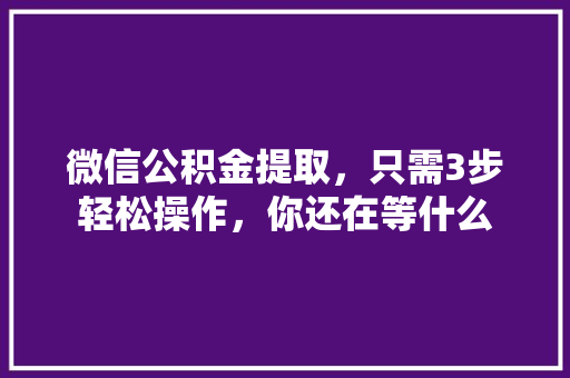 微信公积金提取，只需3步轻松操作，你还在等什么