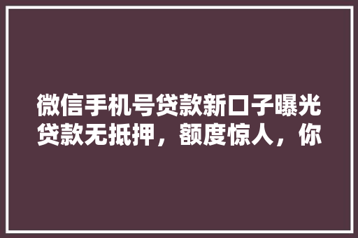 微信手机号贷款新口子曝光贷款无抵押，额度惊人，你敢试吗
