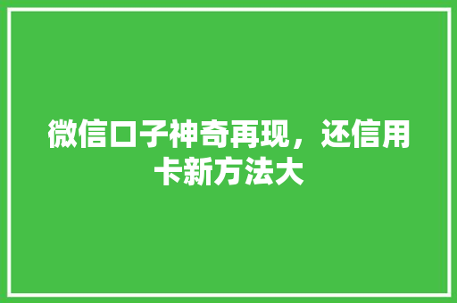 微信口子神奇再现，还信用卡新方法大