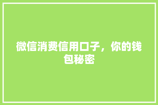 微信消费信用口子，你的钱包秘密