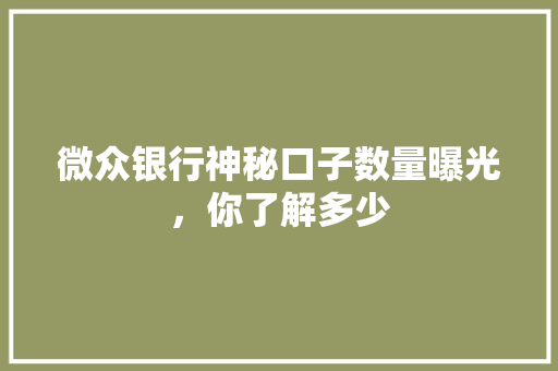 微众银行神秘口子数量曝光，你了解多少