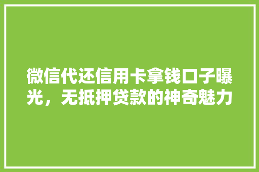 微信代还信用卡拿钱口子曝光，无抵押贷款的神奇魅力