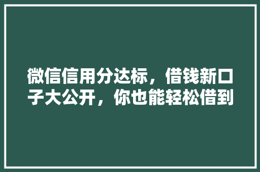 微信信用分达标，借钱新口子大公开，你也能轻松借到钱吗