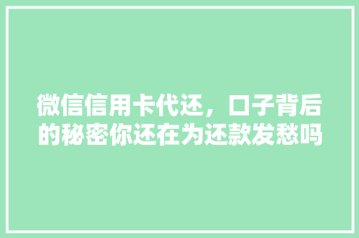 微信信用卡代还，口子背后的秘密你还在为还款发愁吗