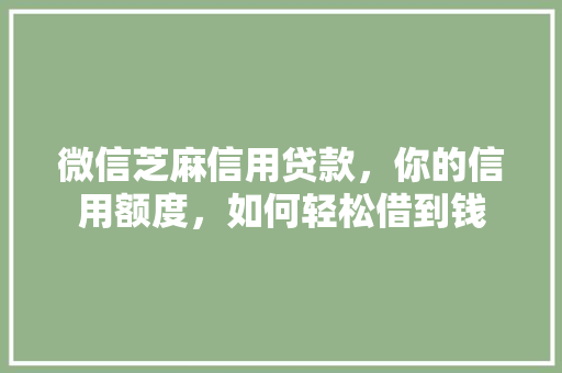 微信芝麻信用贷款，你的信用额度，如何轻松借到钱
