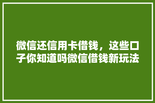 微信还信用卡借钱，这些口子你知道吗微信借钱新玩法