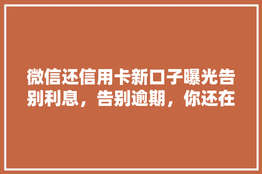 微信还信用卡新口子曝光告别利息，告别逾期，你还在等什么