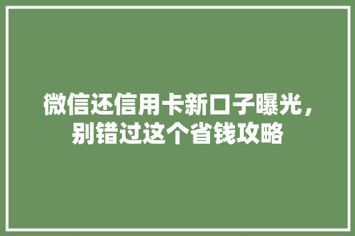 微信还信用卡新口子曝光，别错过这个省钱攻略