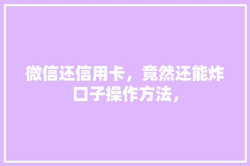 微信还信用卡，竟然还能炸口子操作方法，
