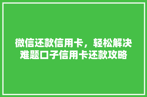 微信还款信用卡，轻松解决难题口子信用卡还款攻略