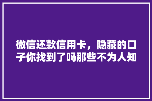 微信还款信用卡，隐藏的口子你找到了吗那些不为人知的方法