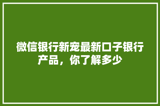 微信银行新宠最新口子银行产品，你了解多少
