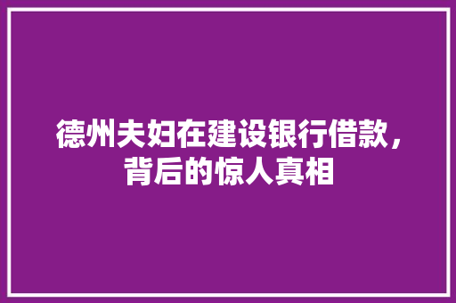 德州夫妇在建设银行借款，背后的惊人真相
