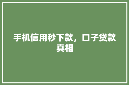 手机信用秒下款，口子贷款真相