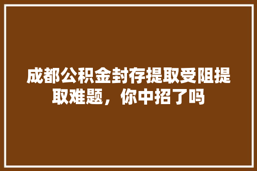 成都公积金封存提取受阻提取难题，你中招了吗