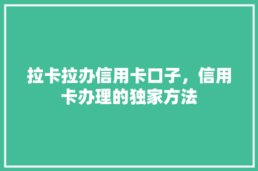 拉卡拉办信用卡口子，信用卡办理的独家方法