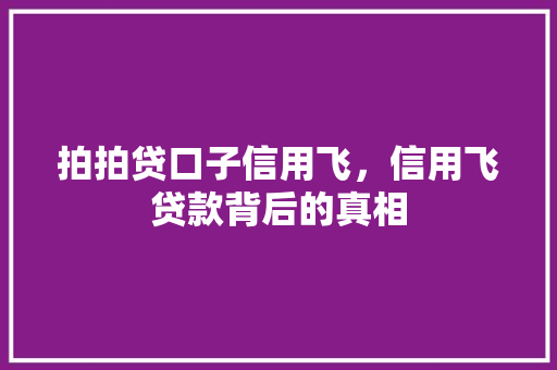 拍拍贷口子信用飞，信用飞贷款背后的真相