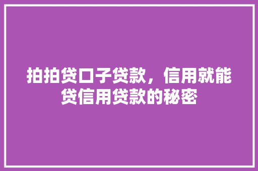 拍拍贷口子贷款，信用就能贷信用贷款的秘密