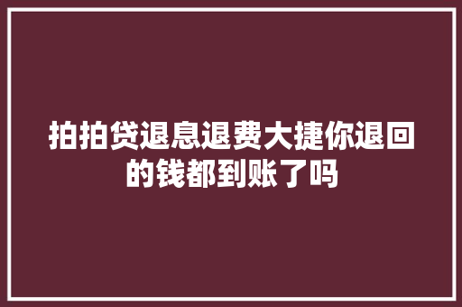 拍拍贷退息退费大捷你退回的钱都到账了吗
