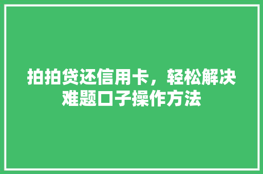 拍拍贷还信用卡，轻松解决难题口子操作方法