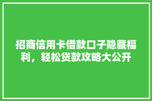 招商信用卡借款口子隐藏福利，轻松贷款攻略大公开