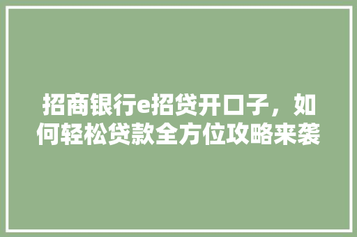 招商银行e招贷开口子，如何轻松贷款全方位攻略来袭