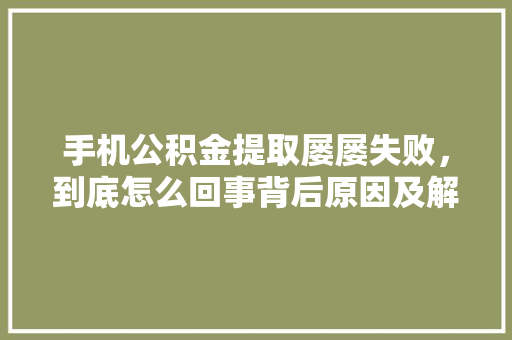 手机公积金提取屡屡失败，到底怎么回事背后原因及解决方法