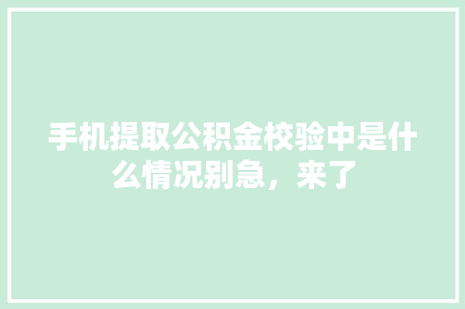 手机提取公积金校验中是什么情况别急，来了