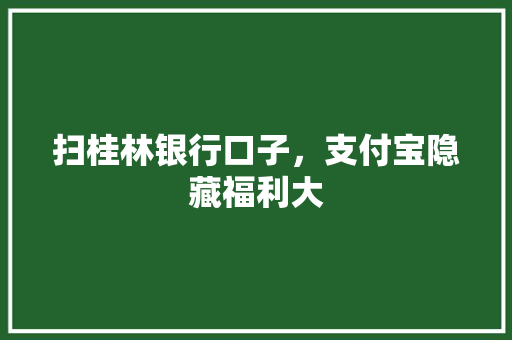 扫桂林银行口子，支付宝隐藏福利大