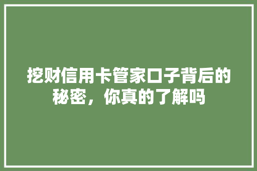 挖财信用卡管家口子背后的秘密，你真的了解吗