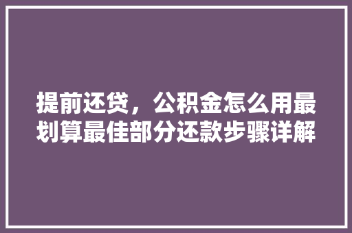 提前还贷，公积金怎么用最划算最佳部分还款步骤详解