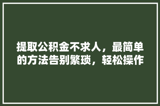 提取公积金不求人，最简单的方法告别繁琐，轻松操作