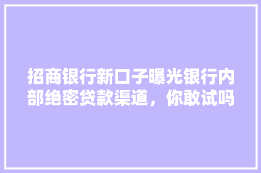 招商银行新口子曝光银行内部绝密贷款渠道，你敢试吗