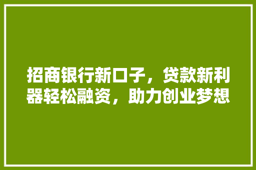 招商银行新口子，贷款新利器轻松融资，助力创业梦想