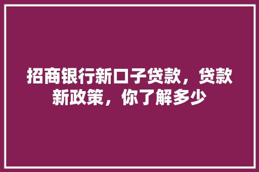 招商银行新口子贷款，贷款新政策，你了解多少