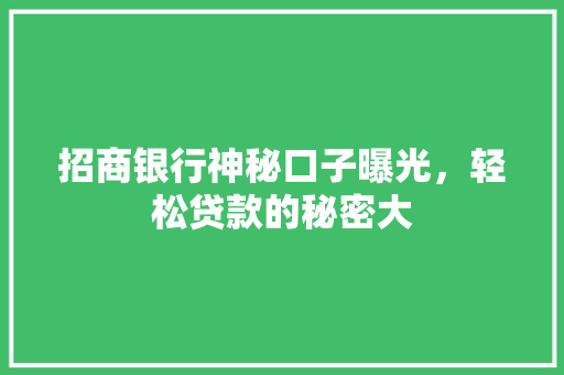 招商银行神秘口子曝光，轻松贷款的秘密大
